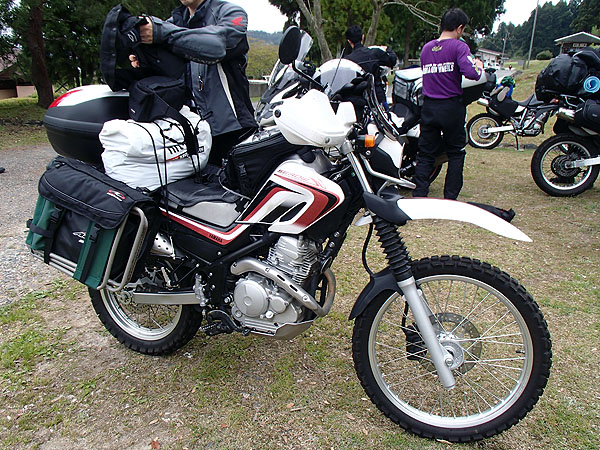 ボルドーさんのセロー